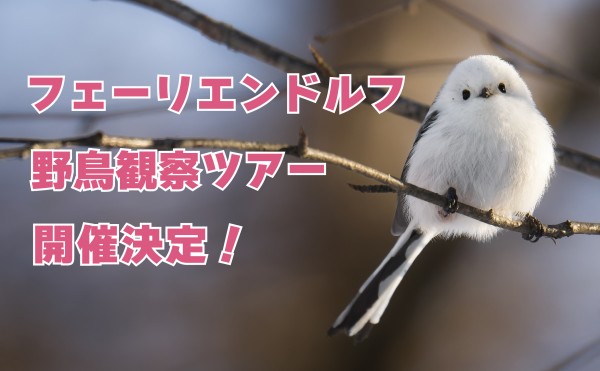 【参加者募集】フェーリエンドルフ野鳥観察ツアー開催のお知らせ